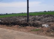 Warga Desa Sikucing Sayangkan Pihak Normalisasi Kalikuto Buang Tanah di Sawah Produktif