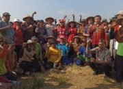 Akibat Cuaca Tidak Menentu, Tanaman Padi di Kendal diserang Penyakit Jamur