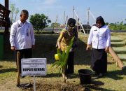 Bupati Tanam 1000 Bibit Pohon Kelapa di Lahan Pertanian Lapas Terbuka Kelas II B Kendal