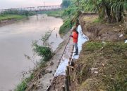 Trucuk Tanggul Bodri Terpasang Satu Pekan Tidak Bergeser ?