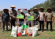 Kapolres Kendal Ikut Panen Raya Jagung Serentak Kuartal IV 2025 di Desa Jungsemi, Ini yang Disampaikan