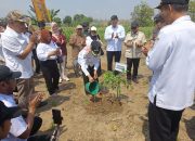 Penanaman Program NBS– Agroforestry Sebagai Bentuk Komitmen Bersama dalam Mendukung Pembangunan Pertanian Berkelanjutan dan Pemulihan Ekosistem