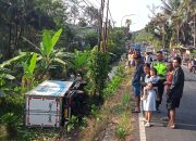 Diduga Selip Ban Truk Boks Muatan Ayam Terguling di Bobotsari, Polisi Lakukan Pemeriksaan
