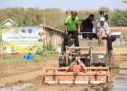 Pemkab Rembang Terapkan Metode PM-AAS, Produktivitas Padi Berpotensi Naik Jadi 10 Ton per Hektare